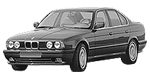 BMW E34 P0CBA Fault Code